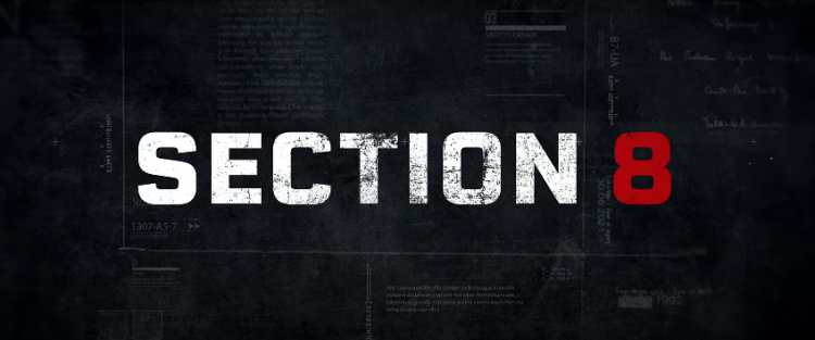 Section 8