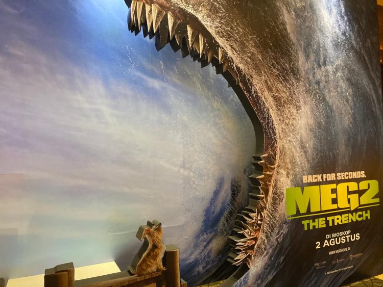 review meg 2