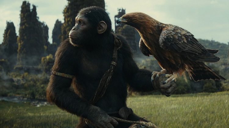 Kingdom of the Planet of the Apes